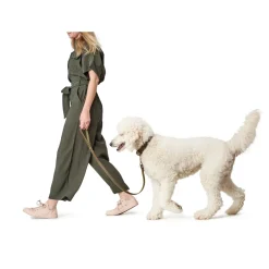 Hunter Aalborg Sport Oliven 32 hundehalsbånd - 24-29 cm