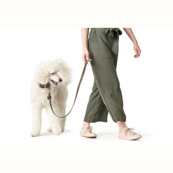 Hunter Aalborg Sport Oliven 37 hundehalsbånd - 28-33 cm