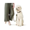 Hunter Aalborg Sport Oliven 42 hundehalsbånd - 32-38 cm