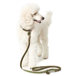 Hunter Aalborg Sport Oliven 42 hundehalsbånd - 32-38 cm