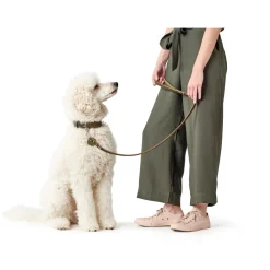Hunter Aalborg Sport Oliven 42 hundehalsbånd - 32-38 cm