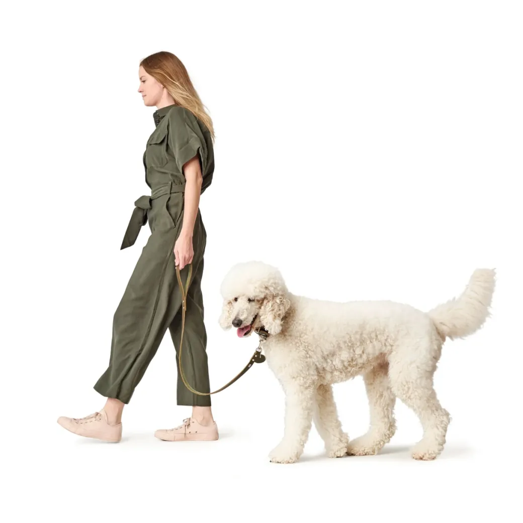 Hunter Aalborg Sport Oliven 42 hundehalsbånd - 32-38 cm