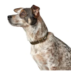 Hunter Aalborg Sport Oliven 52 hundehalsbånd - 38-47 cm