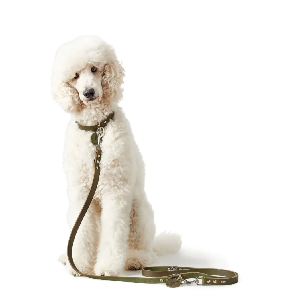 Hunter Aalborg Sport Oliven 52 hundehalsbånd - 38-47 cm
