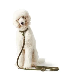 Hunter Aalborg Sport Oliven 60 hundehalsbånd - 45-55 cm
