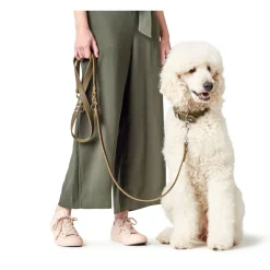 Hunter Aalborg Sport Oliven 60 hundehalsbånd - 45-55 cm