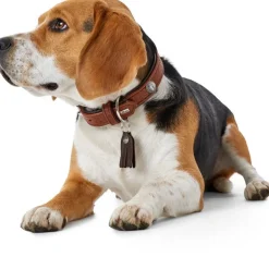 Hunter Cody 40 Cognac Mørkebrun hundehalsbånd - 29-35 cm