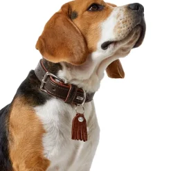 Hunter Cody 60 Mørkebrun Cognac hundehalsbånd - 46-52 cm