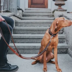 Hunter Cody 65 Mørkebrun Cognac hundehalsbånd - 50-56 cm