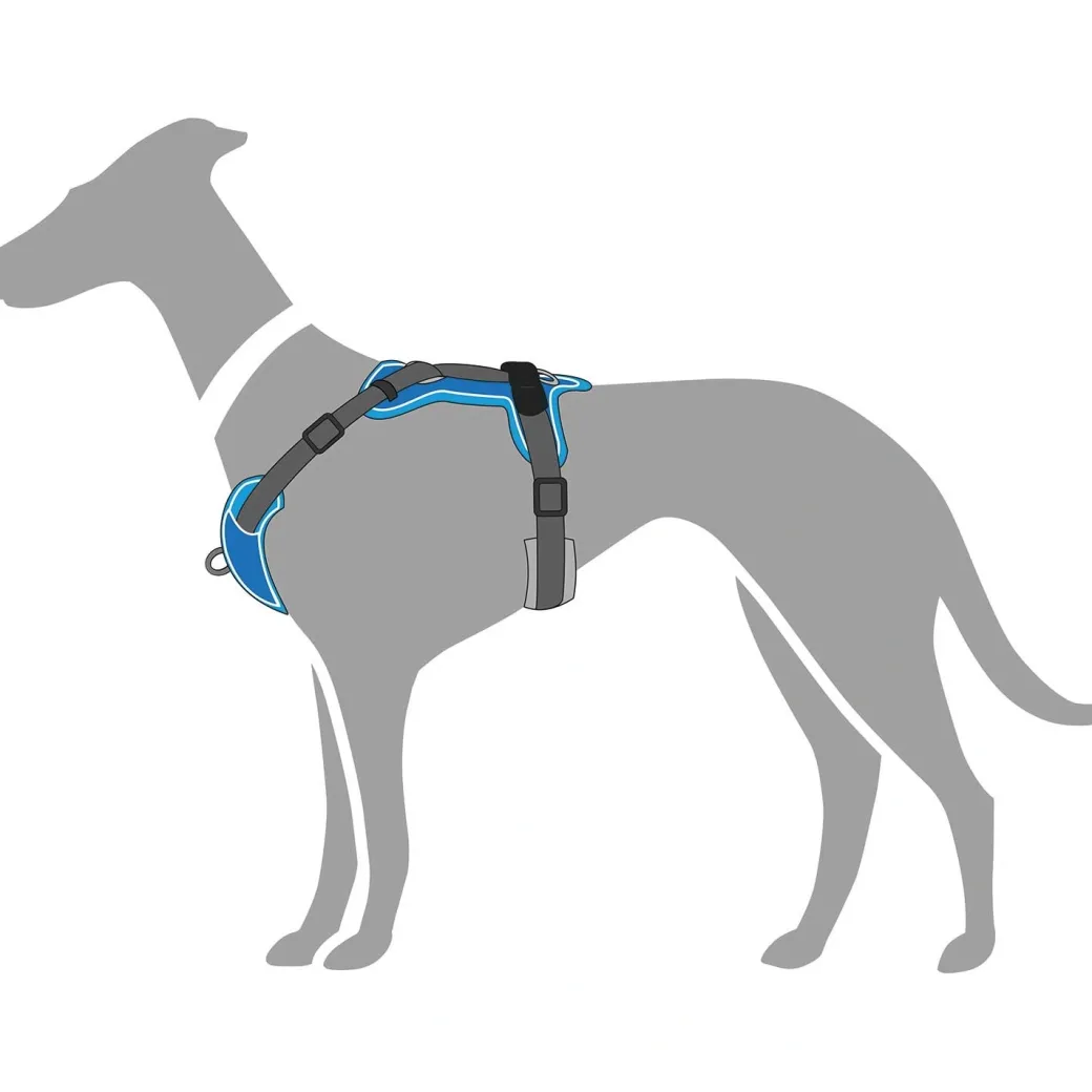 Hunter Divo hundesele L lyseblå/grå just mave 72-100 cm - Stabil kontrol og høj komfort