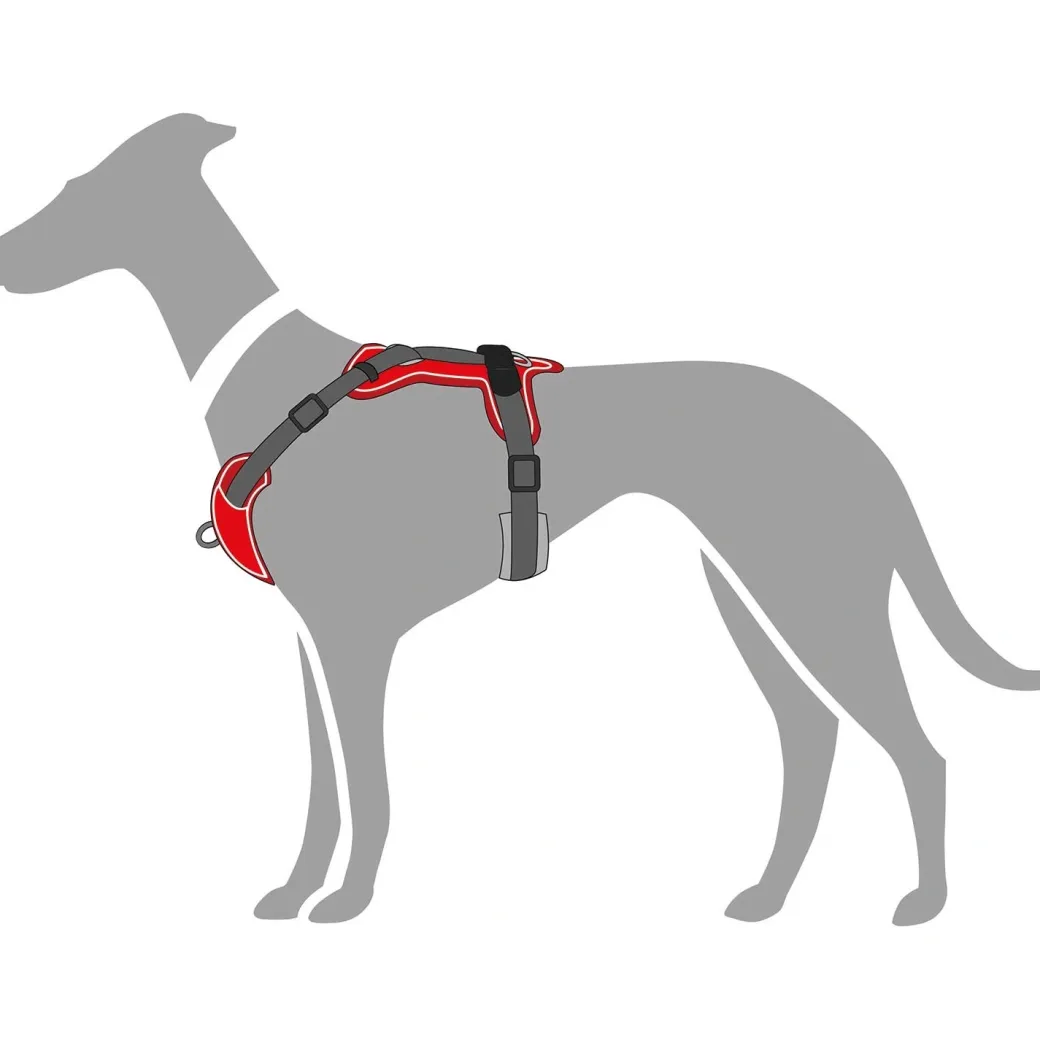 Hunter Divo hundesele L-XL rød/grå just mave 79-107 cm - Ekstra stabilitet og komfort