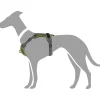 Hunter Divo hundesele S grøn/grå just mave 45-56 cm - Fleksibel kontrol og let komfort
