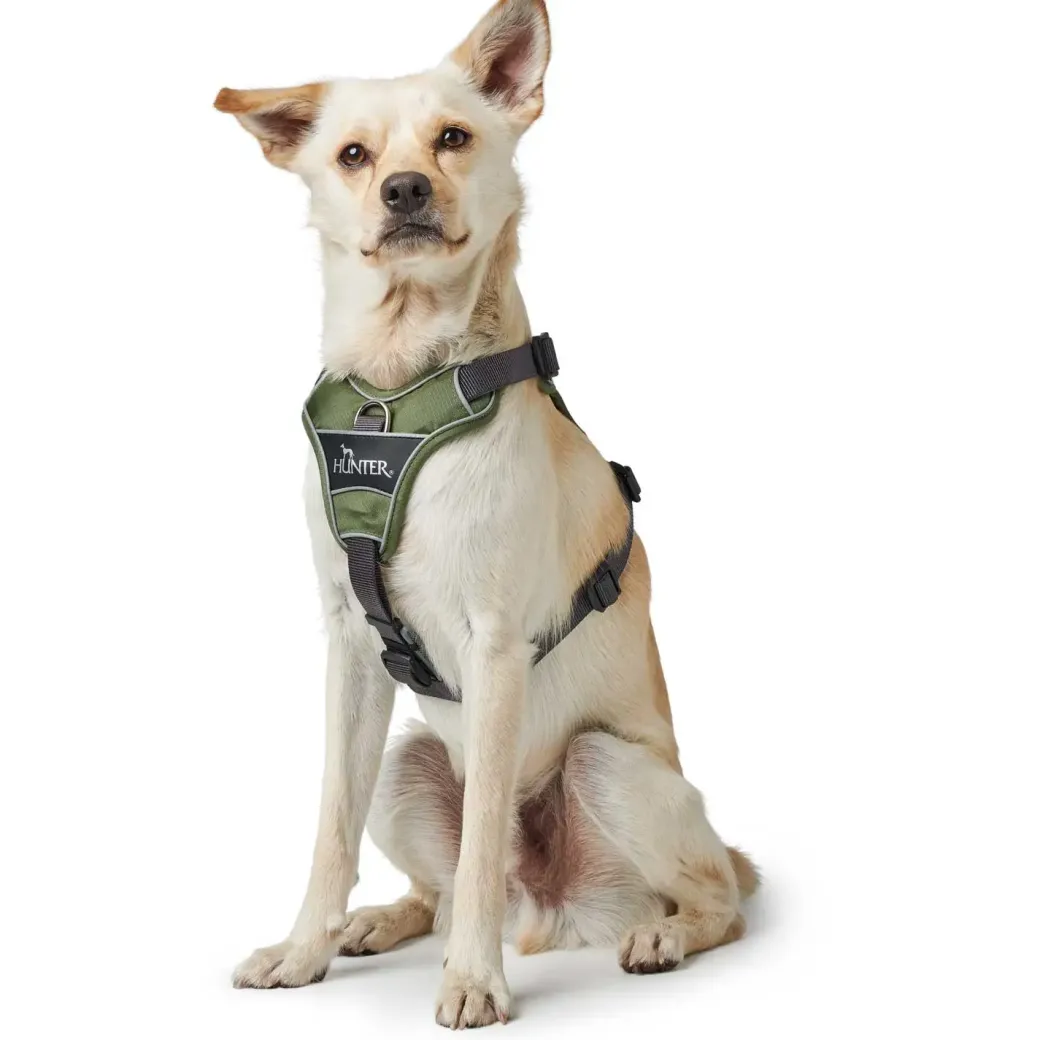 Hunter Divo hundesele S grøn/grå just mave 45-56 cm - Fleksibel kontrol og let komfort