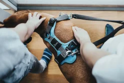 Hunter Divo hundesele S-M lyseblå/grå just mave 52-68 cm - Fleksibel støtte og komfort