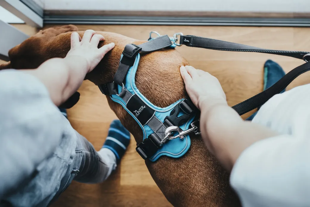 Hunter Divo hundesele S-M lyseblå/grå just mave 52-68 cm - Fleksibel støtte og komfort