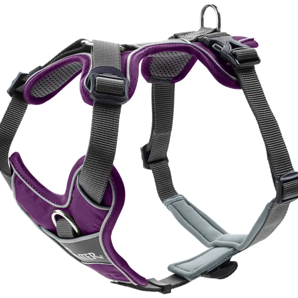Hunter Divo hundesele S-M violet/grå just mave 52-68 cm - Fleksibel støtte og komfort