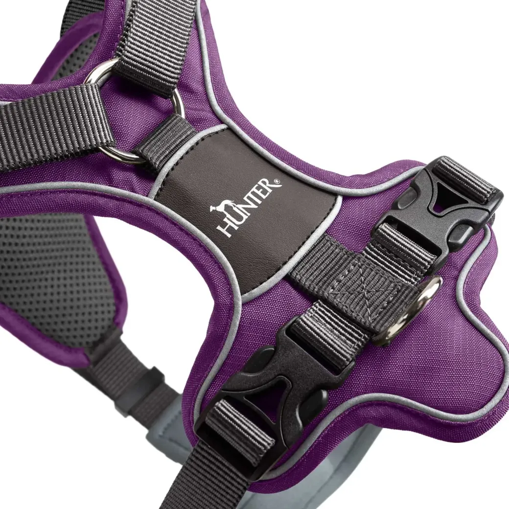 Hunter Divo hundesele S-M violet/grå just mave 52-68 cm - Fleksibel støtte og komfort