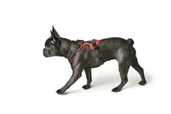 Hunter Divo hundesele S rød/grå just mave 45-56 cm - Smidig pasform og stabil kontrol
