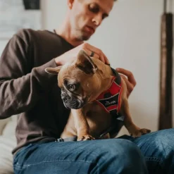 Hunter Divo hundesele S rød/grå just mave 45-56 cm - Smidig pasform og stabil kontrol
