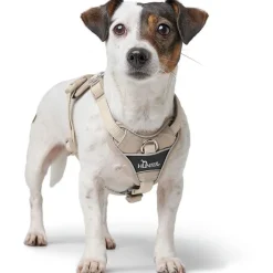 Hunter Divo Up hundesele L beige just mave 72-100 cm - Stabil støtte og tryg bevægelse