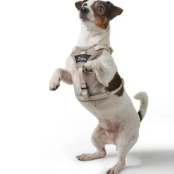 Hunter Divo Up hundesele L-XL beige just mave 79-107 cm - Ekstra stabil støtte og rolig håndtering