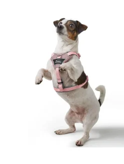 Hunter Divo Up hundesele L-XL lyserød just mave 79-107 cm - Stabil støtte og tryg kontrol