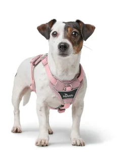 Hunter Divo Up hundesele L-XL lyserød just mave 79-107 cm - Stabil støtte og tryg kontrol