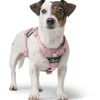Hunter Divo Up hundesele XS lyserød just mave 34-47 cm - Blid påtagning og let ergonomisk komfort