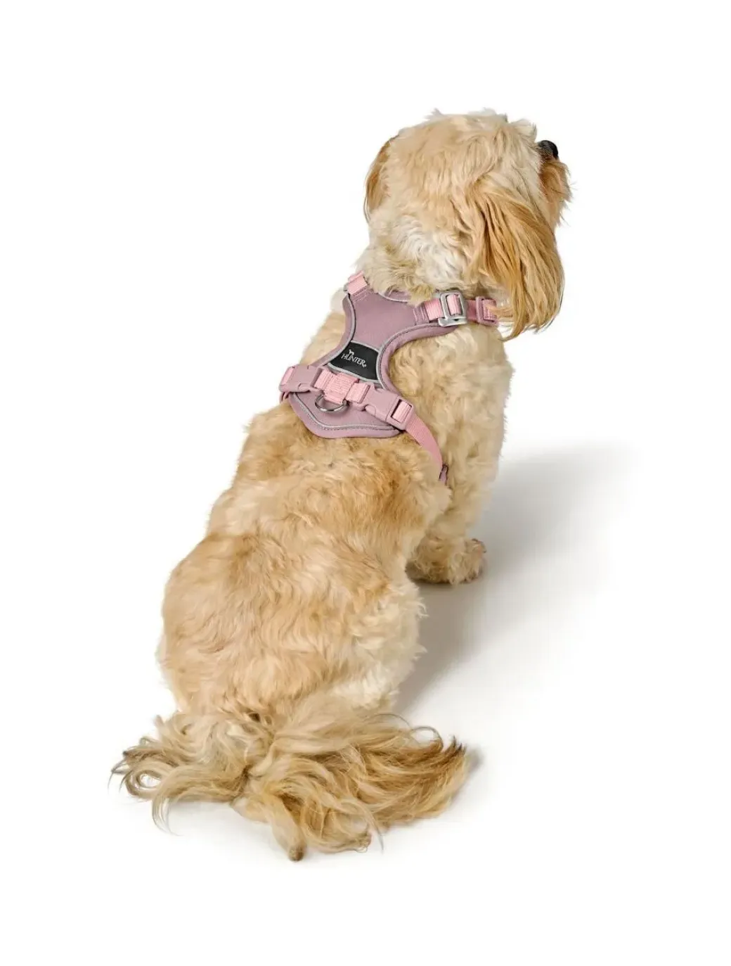 Hunter Divo Up hundesele XS lyserød just mave 34-47 cm - Blid påtagning og let ergonomisk komfort