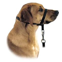 Hunter Follow Me snudesele til hund medium
