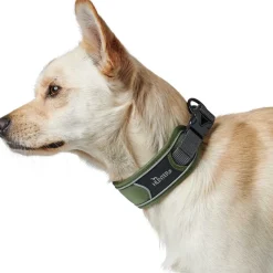 Hunter Halsbånd Divo M Grøn/Grå - justerbart hundehalsbånd (35-45 cm, B 4,5 cm)