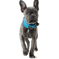 Hunter Halsbånd Divo M Lyseblå/Grå - justerbart hundehalsbånd (35-45 cm, B 4,5 cm)