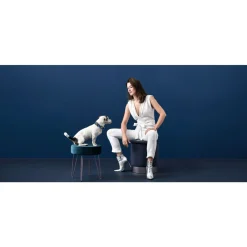 Hunter hunde halsbånd Hilo Blå M-L - justerbart hundehalsbånd (33-50 cm, B 2,5 cm)