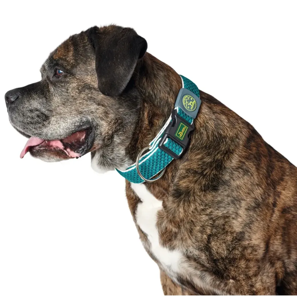 Hunter hunde halsbånd Hilo Turkis M-L - justerbart hundehalsbånd (33-50 cm, B 2,5 cm)
