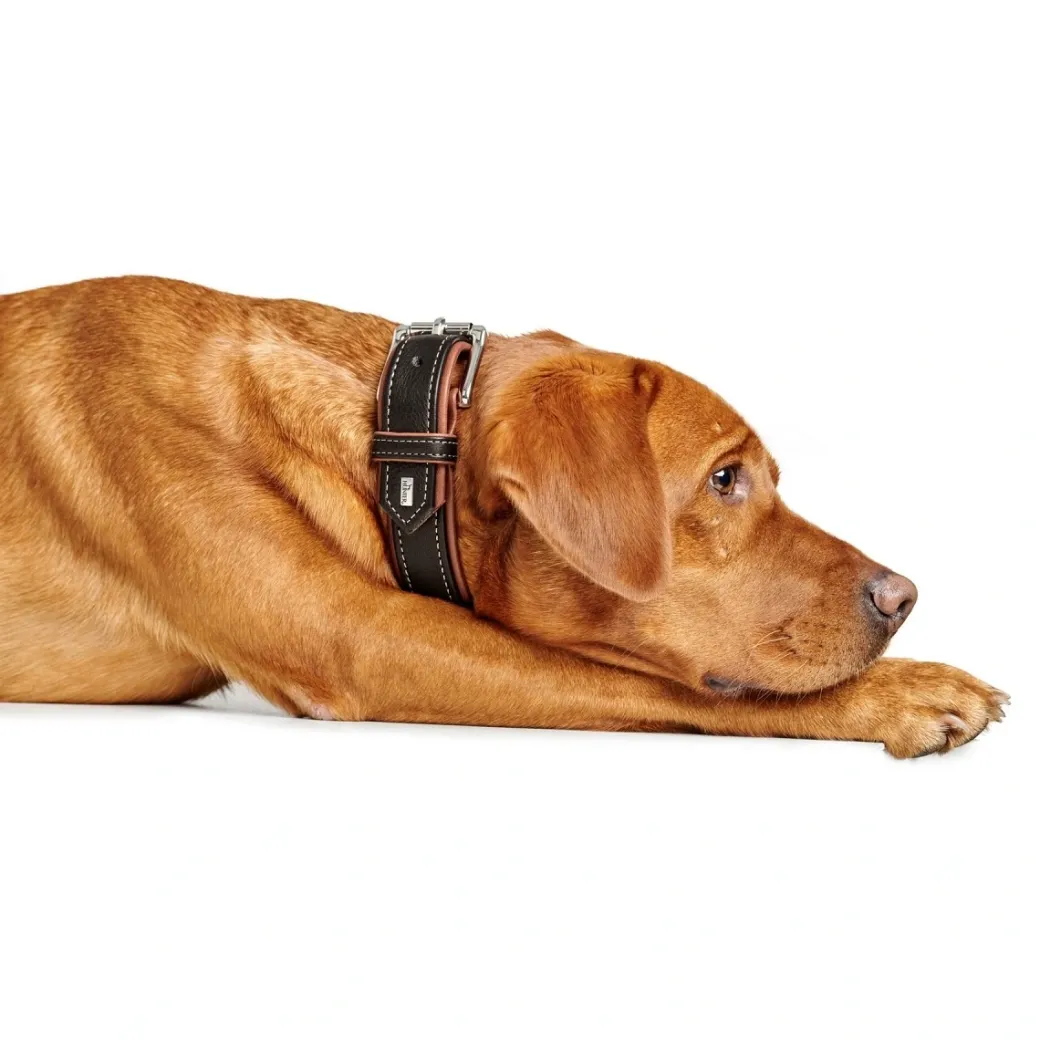 Hunter Hundehalsbånd læder Canada Elg Str.30 Sort/Cognac - 21-25 cm