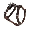 Hunter Hundesele Aalborg mørkebrun S-M/1 - Bryst/hals 44-56 cm