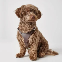 Hunter Hundesele Aalborg mørkebrun XL (M-L/1) - Bryst/hals 58-80 cm