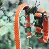 Hunter Hundesnor Hilo Orange 20/200