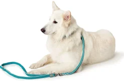 Hunter Hundesnor Hilo Turkis 25/200
