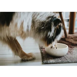Hunter keramik Lund hunde skål 550 ml Beige