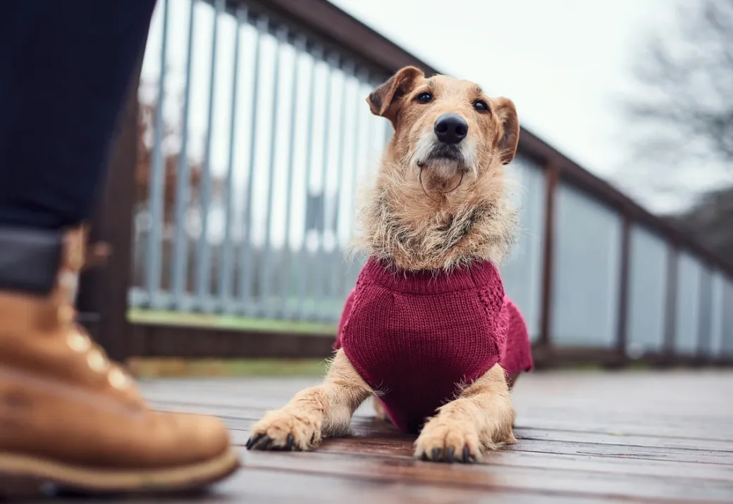 Hunter Malmø pullover strik bordeaux str. 35