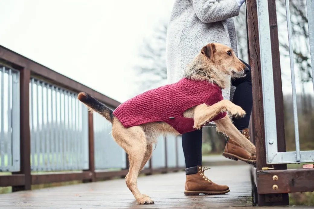 Hunter Malmø pullover strik bordeaux str. 40