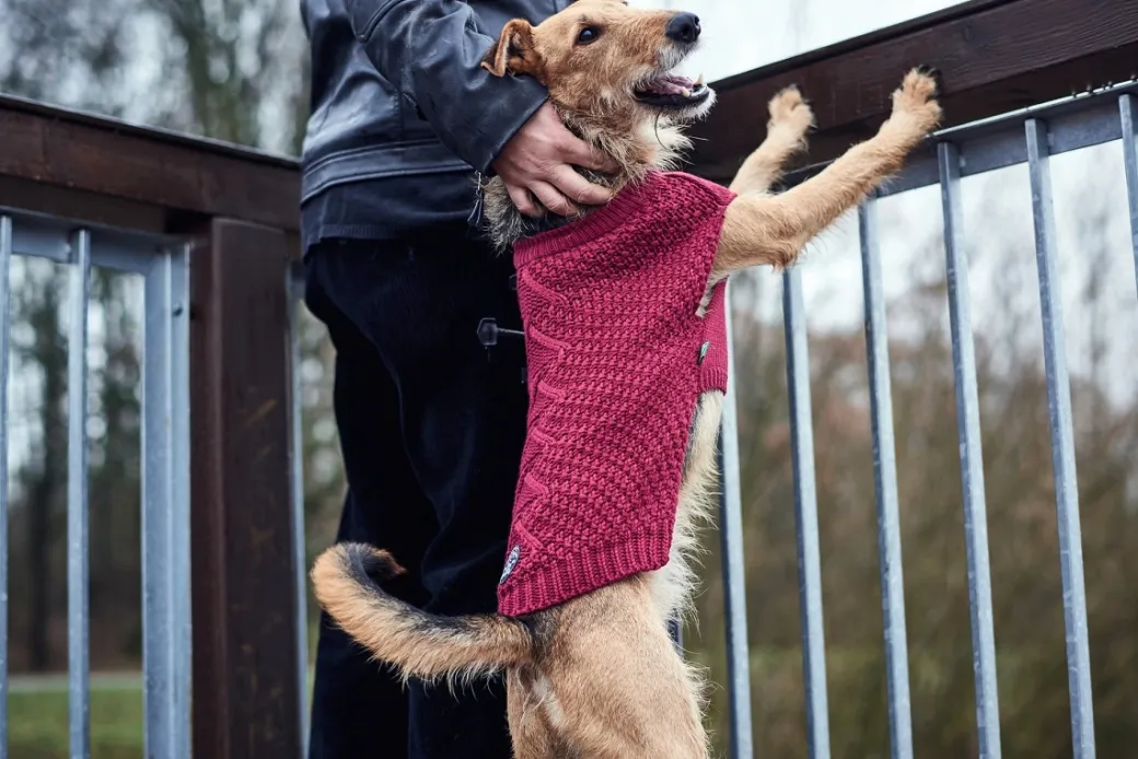Hunter Malmø pullover strik bordeaux str. 45