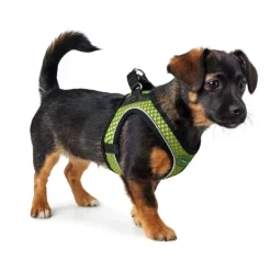 Hunter NY Hilo Comfort hundesele XS-S lime mave/bryst 40-46 cm - Fleksibel komfort til små hunde