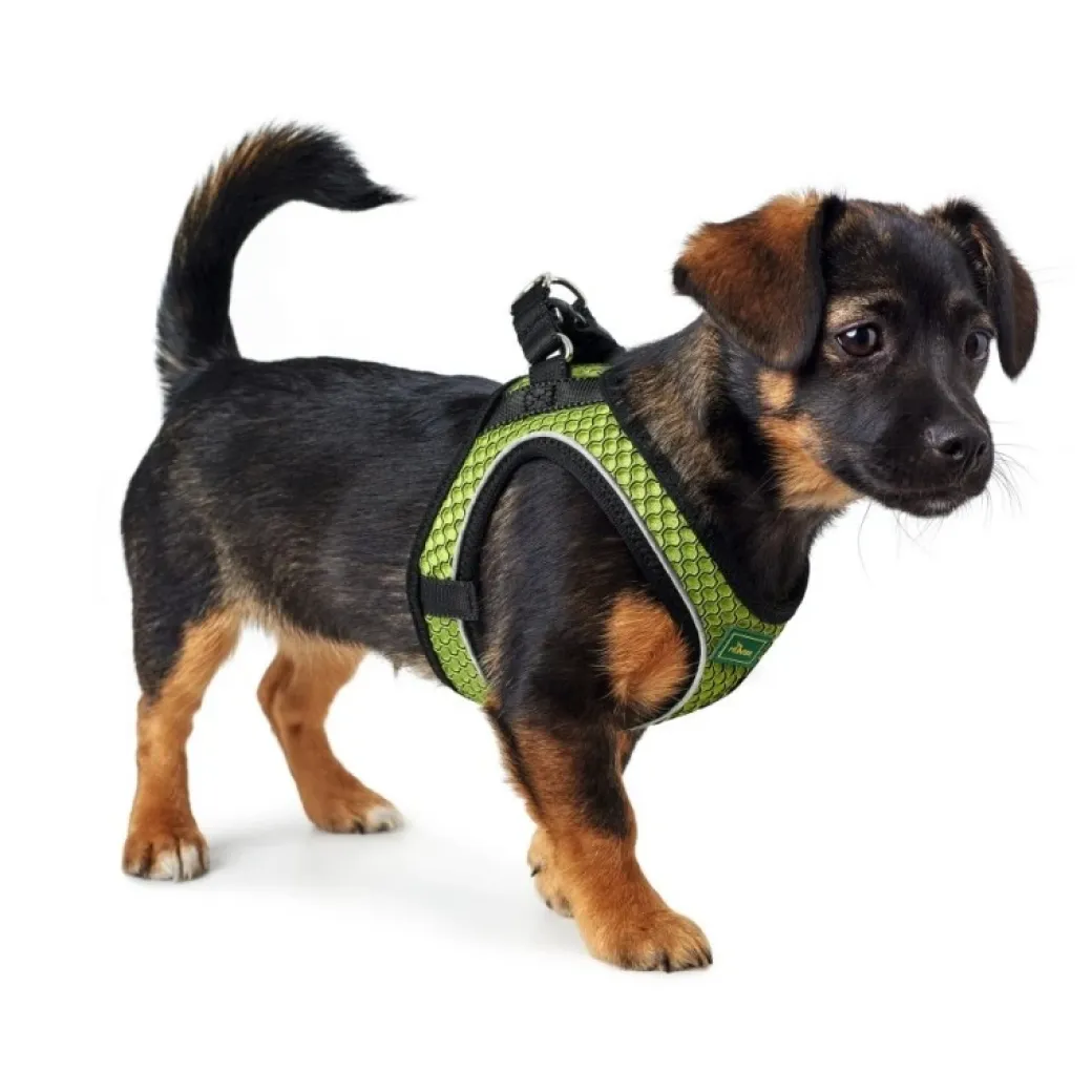 Hunter NY Hilo Comfort hundesele M lime mave/bryst 58-65 cm - Let komfort og stabil pasform