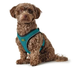 Hunter NY Hilo Comfort hundesele XXS turkis mave/bryst 31-33 cm - Ultralet komfort til små hunde