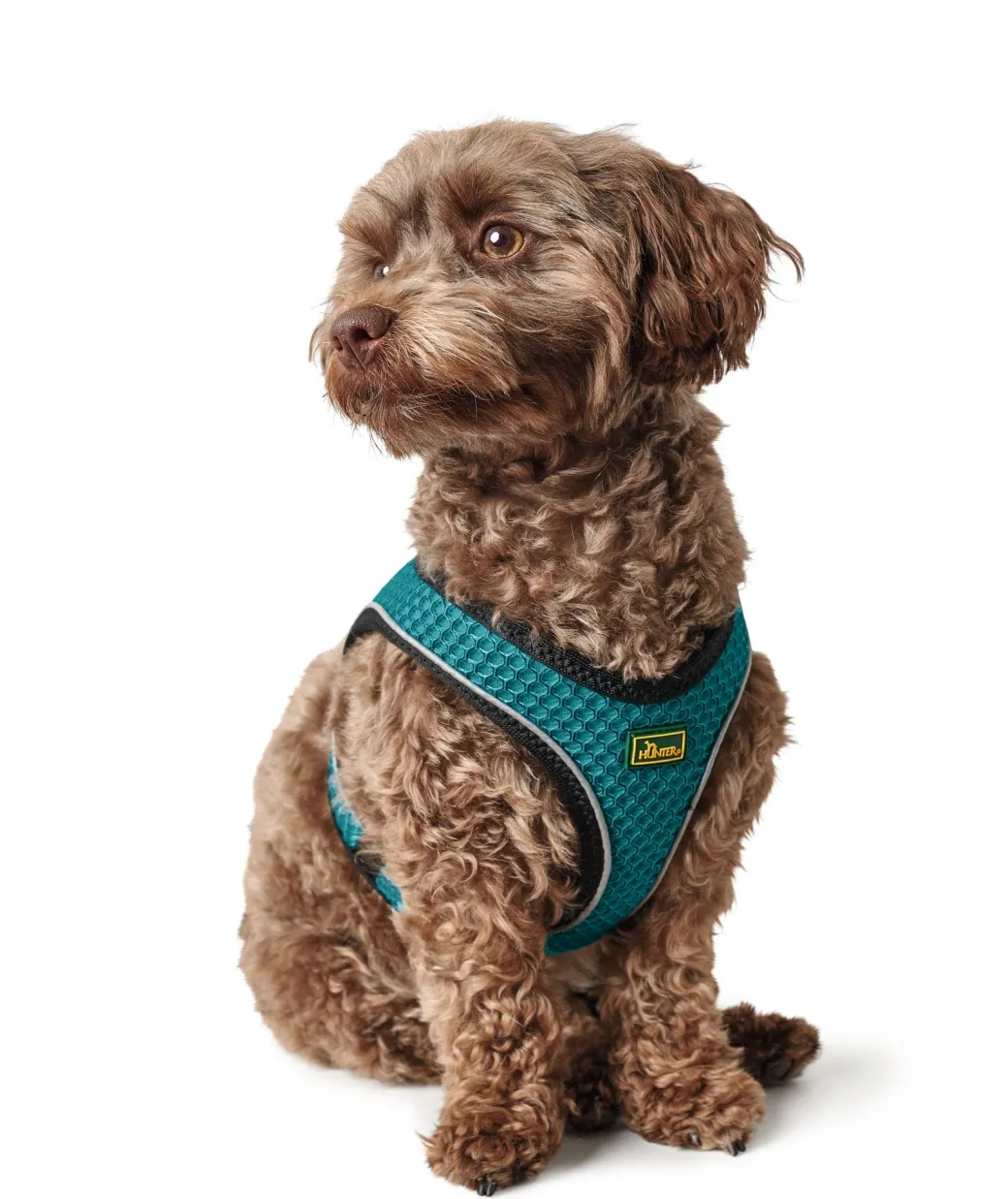 Hunter NY Hilo Comfort hundesele XXS-XS turkis mave/bryst 33-36 cm - Fleksibel let pasform til små hunde