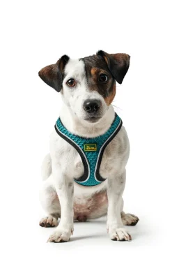 Hunter NY Hilo Comfort hundesele XS turkis mave/bryst 36-40 cm - Let komfort og fri bevægelse