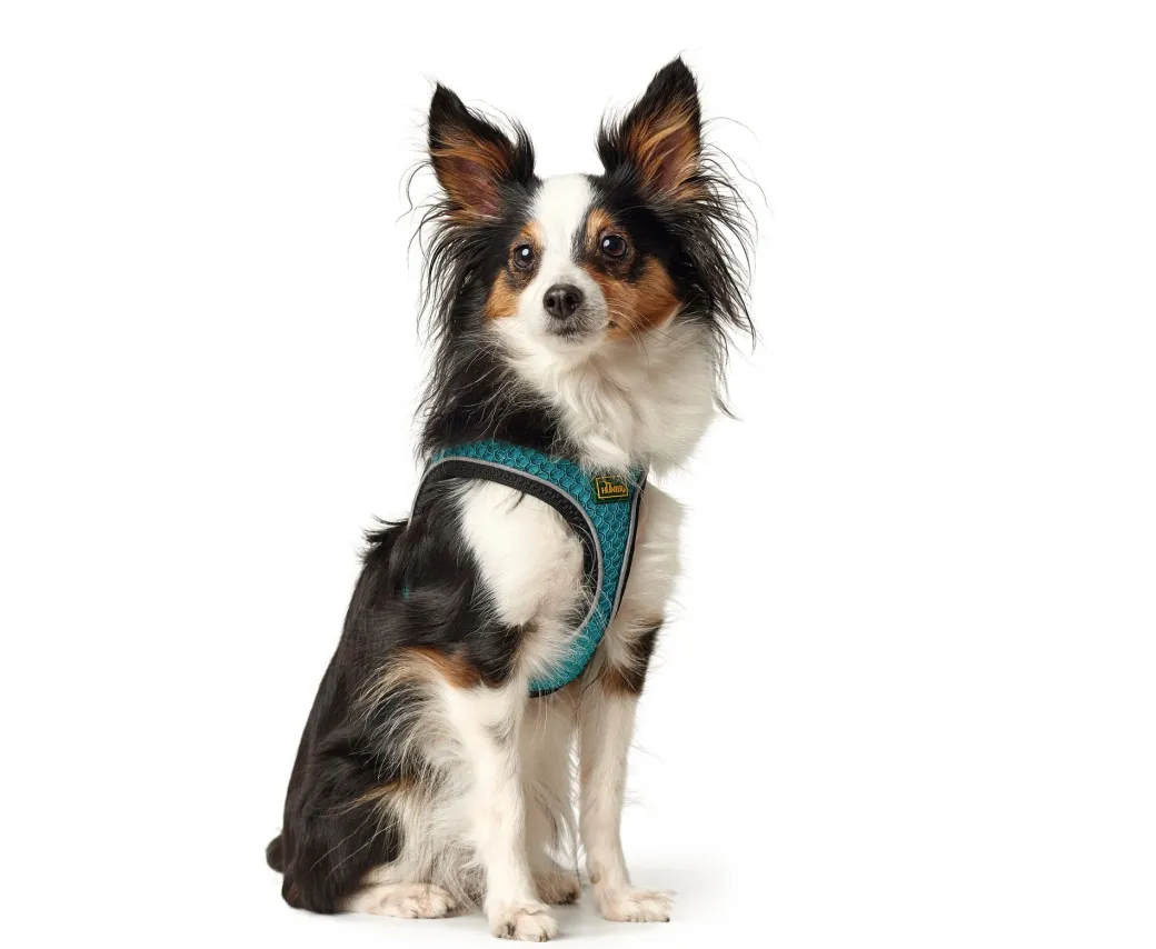 Hunter NY Hilo Comfort hundesele XS turkis mave/bryst 36-40 cm - Let komfort og fri bevægelse