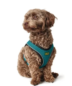 Hunter NY Hilo Comfort hundesele XS-S turkis mave/bryst 40-46 cm - Fleksibel komfort til små hunde